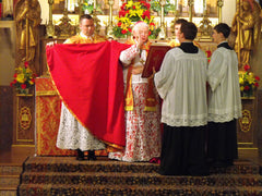 Webcasting the Traditional Liturgy to the World